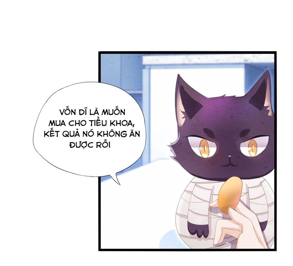 Làm Mèo Của Ta Chapter 2 - 5