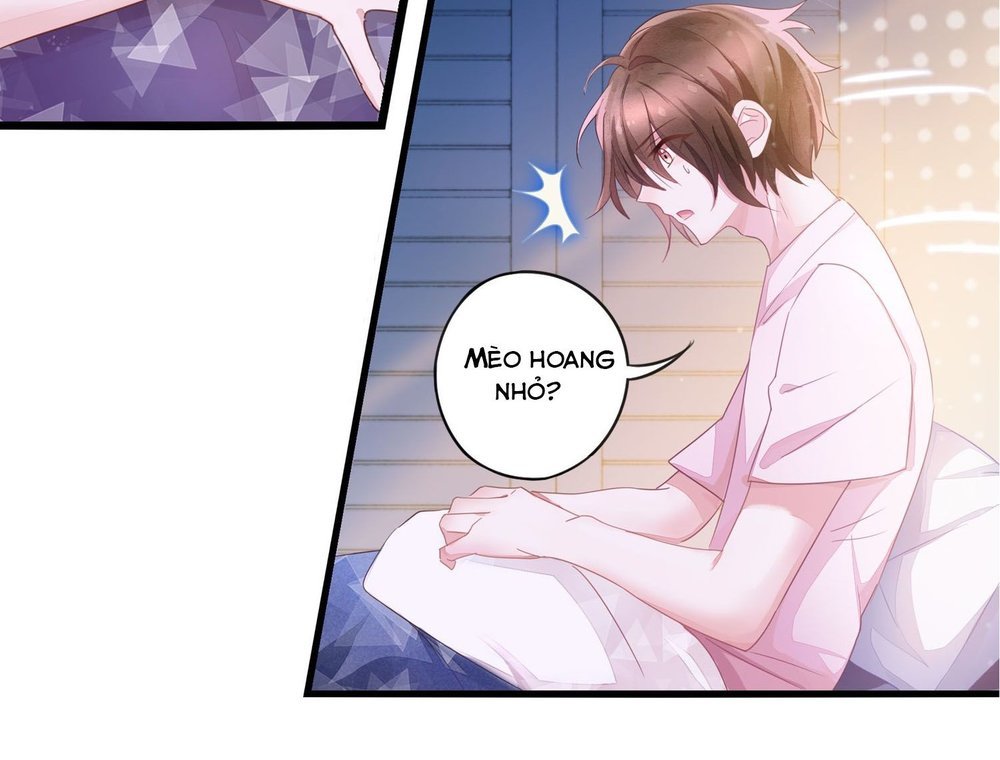 Làm Mèo Của Ta Chapter 3 - 16