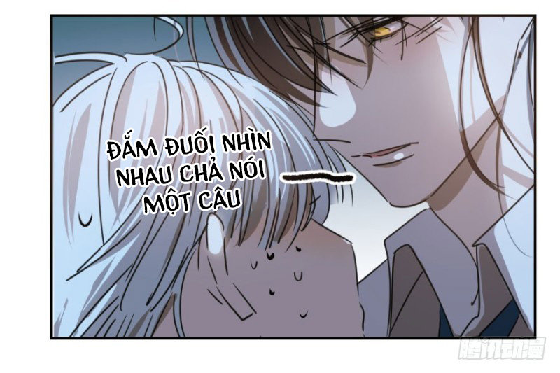 Truy Bắt Ngao Ngao Chapter 13 - 4