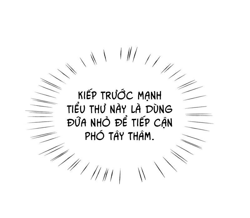 Cẩm Tú Trùng Sinh: Chào Buổi Sáng Phó Thái Thái Chapter 20 - 12