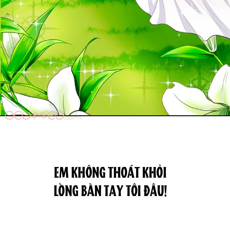 Cô Vợ Gả Thay Của Tổng Tài Cố Chấp Chapter 2 - 59