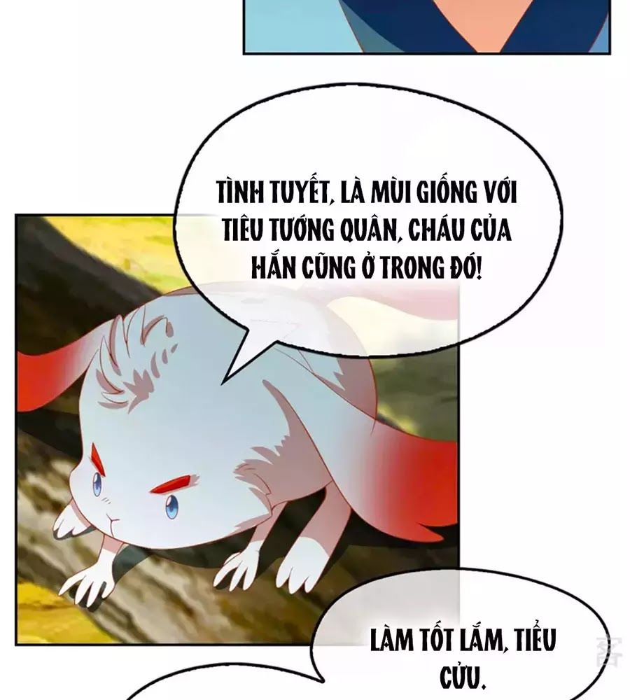 Khuynh Thành Cuồng Phi Của Tà Vương Chapter 69 - 21