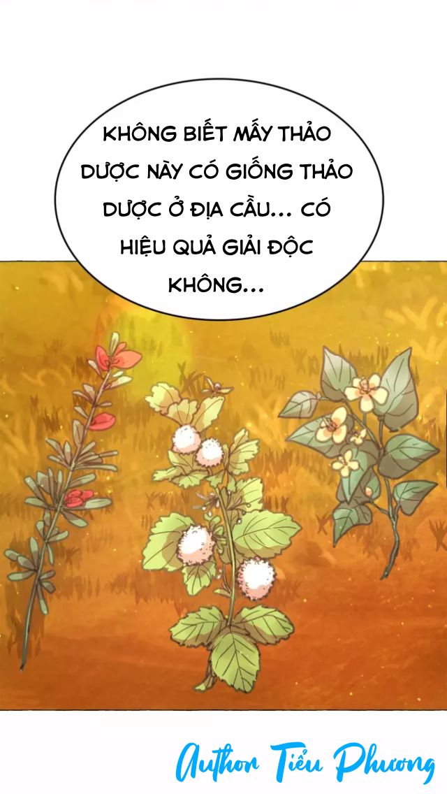 Bí Mật Của Hoàng Phi Isana Chapter 5 - 24