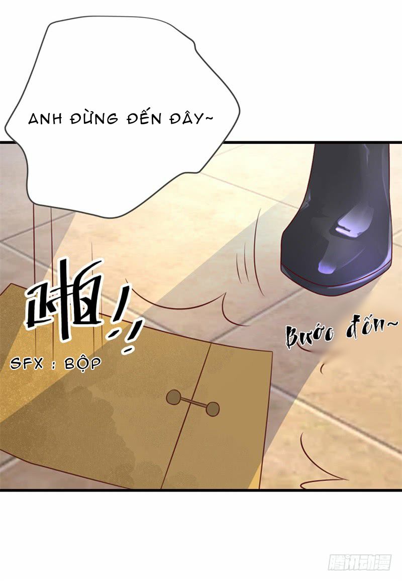 Thịnh Thế Hoa Sủng: Tôi Bị Bắt Làm Tù Binh Chapter 2 - 13