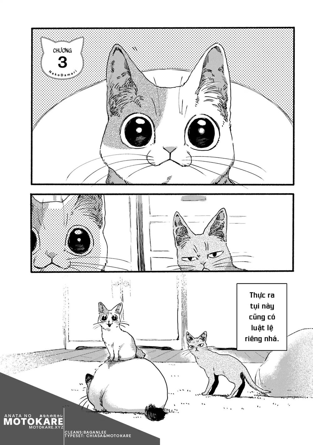 Nekodamari Chapter 3 - 1