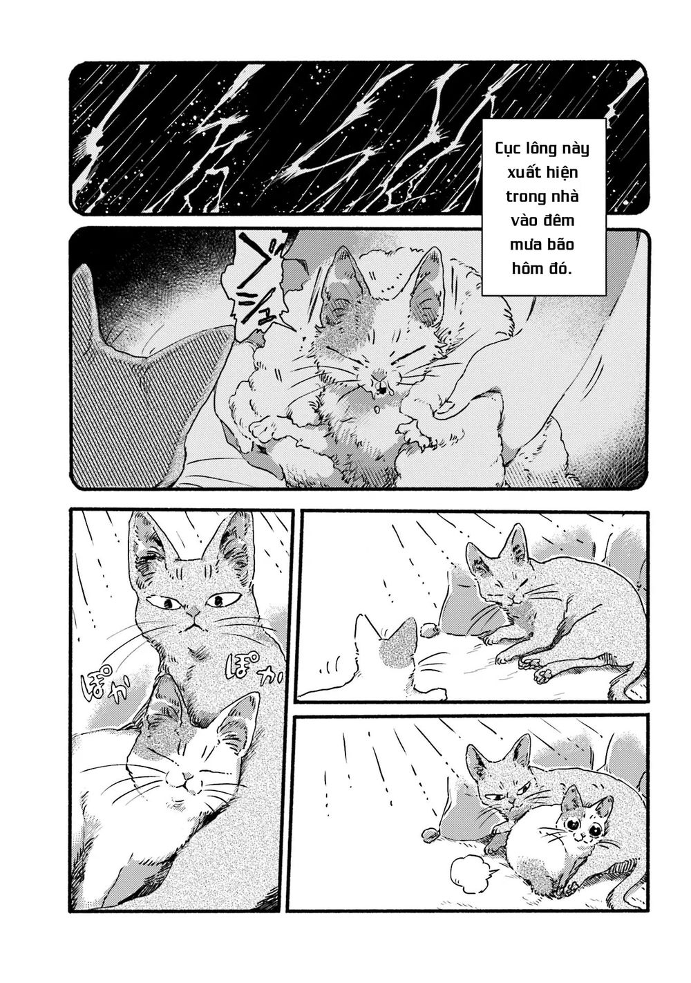 Nekodamari Chapter 3 - 5