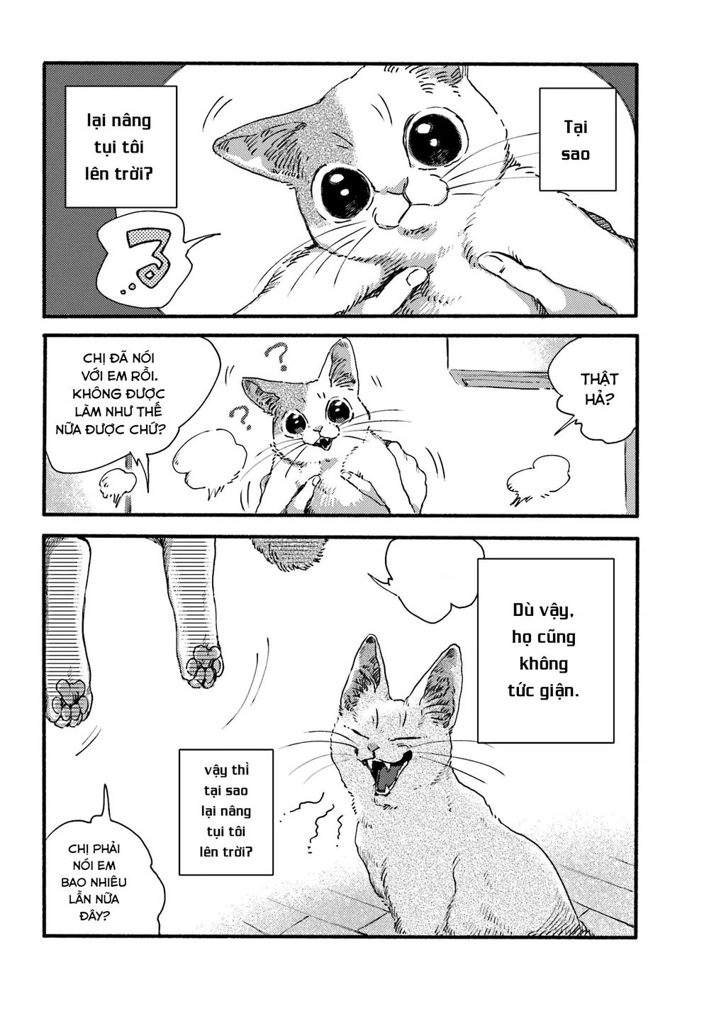 Nekodamari Chapter 3 - 8