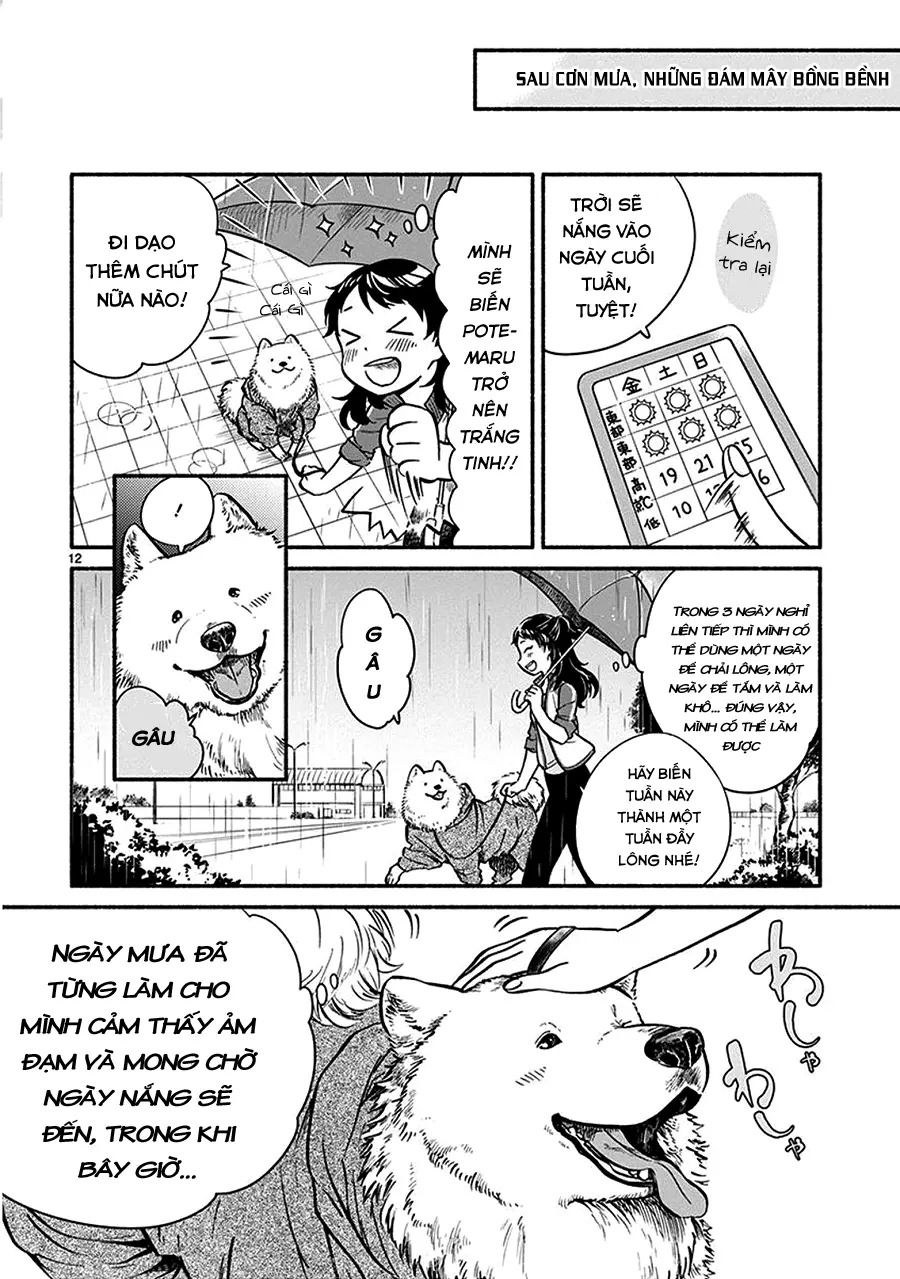 One-Room Wanko Chapter 1 - 16