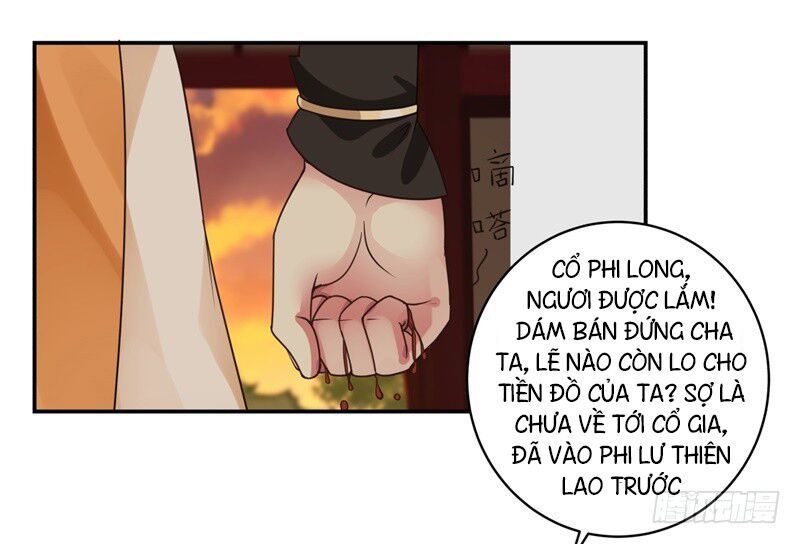 Hỗn Độn Đan Thần Chapter 4 - 14