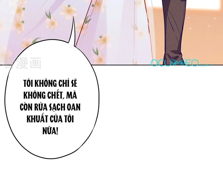 Thiếu Soái, Vợ Anh Muốn Lật Trời! Chapter 8 - 18