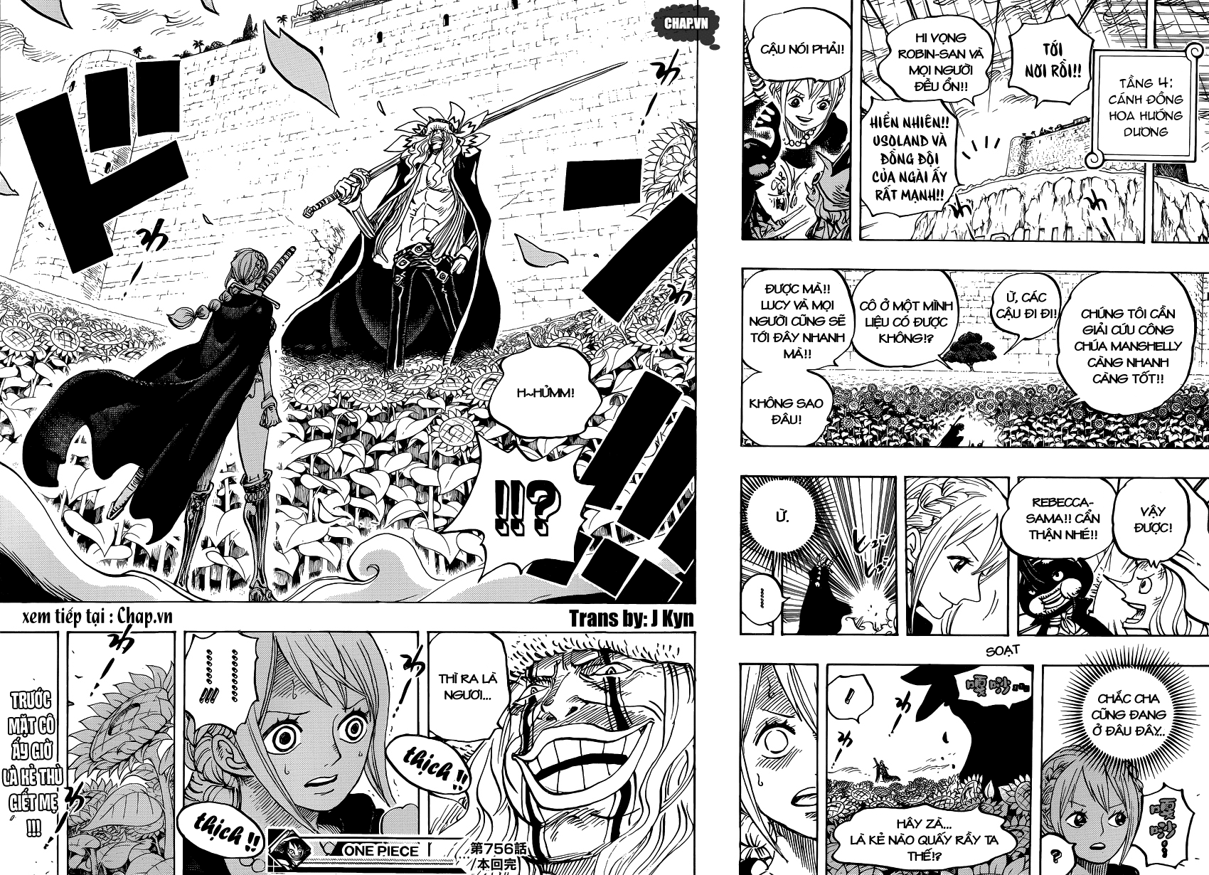 One Piece Chapter 756 - 17