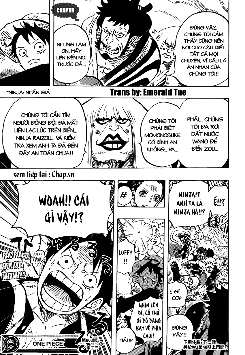 One Piece Chapter 803 - 13