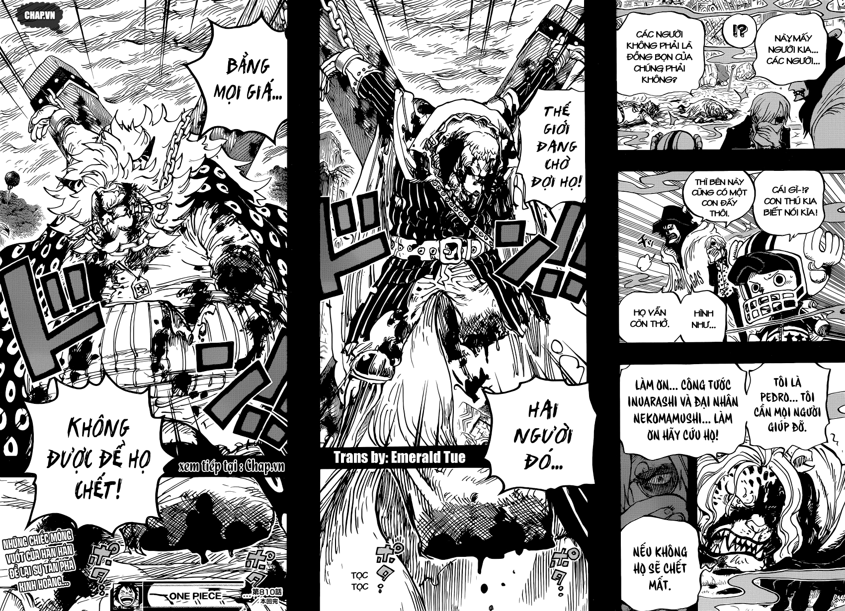 One Piece Chapter 810 - 16