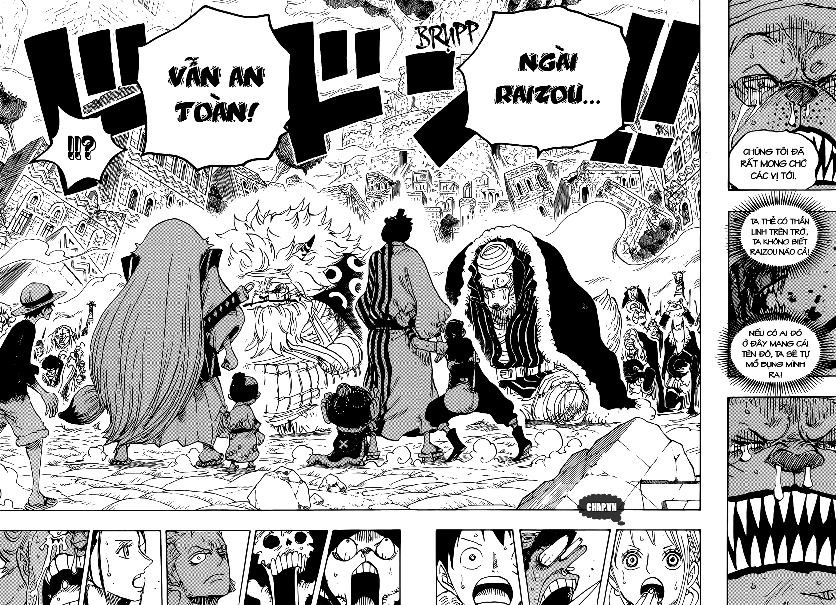 One Piece Chapter 816 - 14