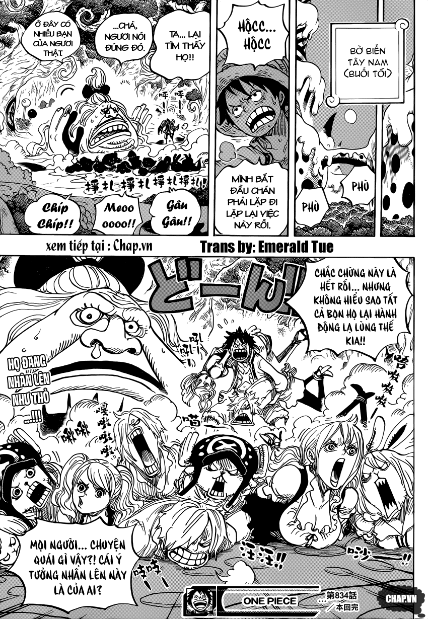 One Piece Chapter 834 - 17