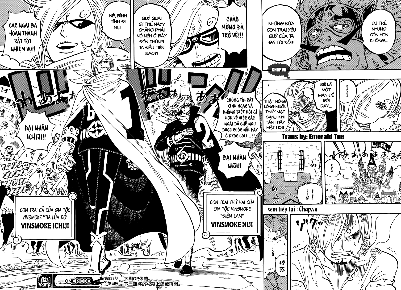 One Piece Chapter 838 - 14