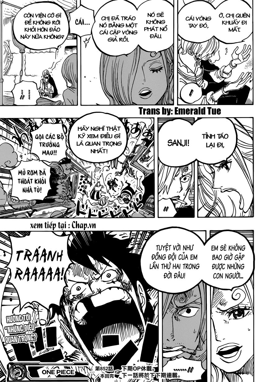 One Piece Chapter 852 - 17