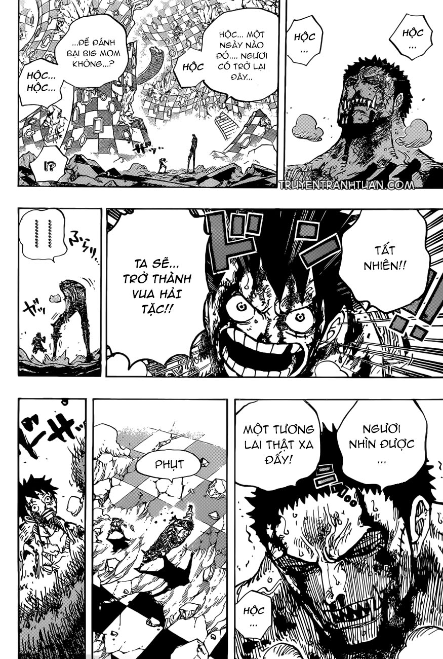 One Piece Chapter 896 - 14