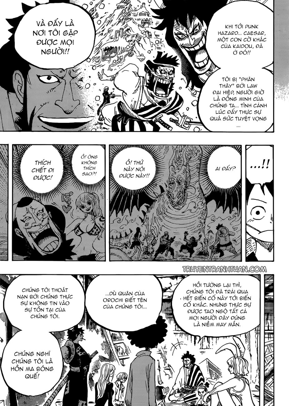 One Piece Chapter 920 - 14