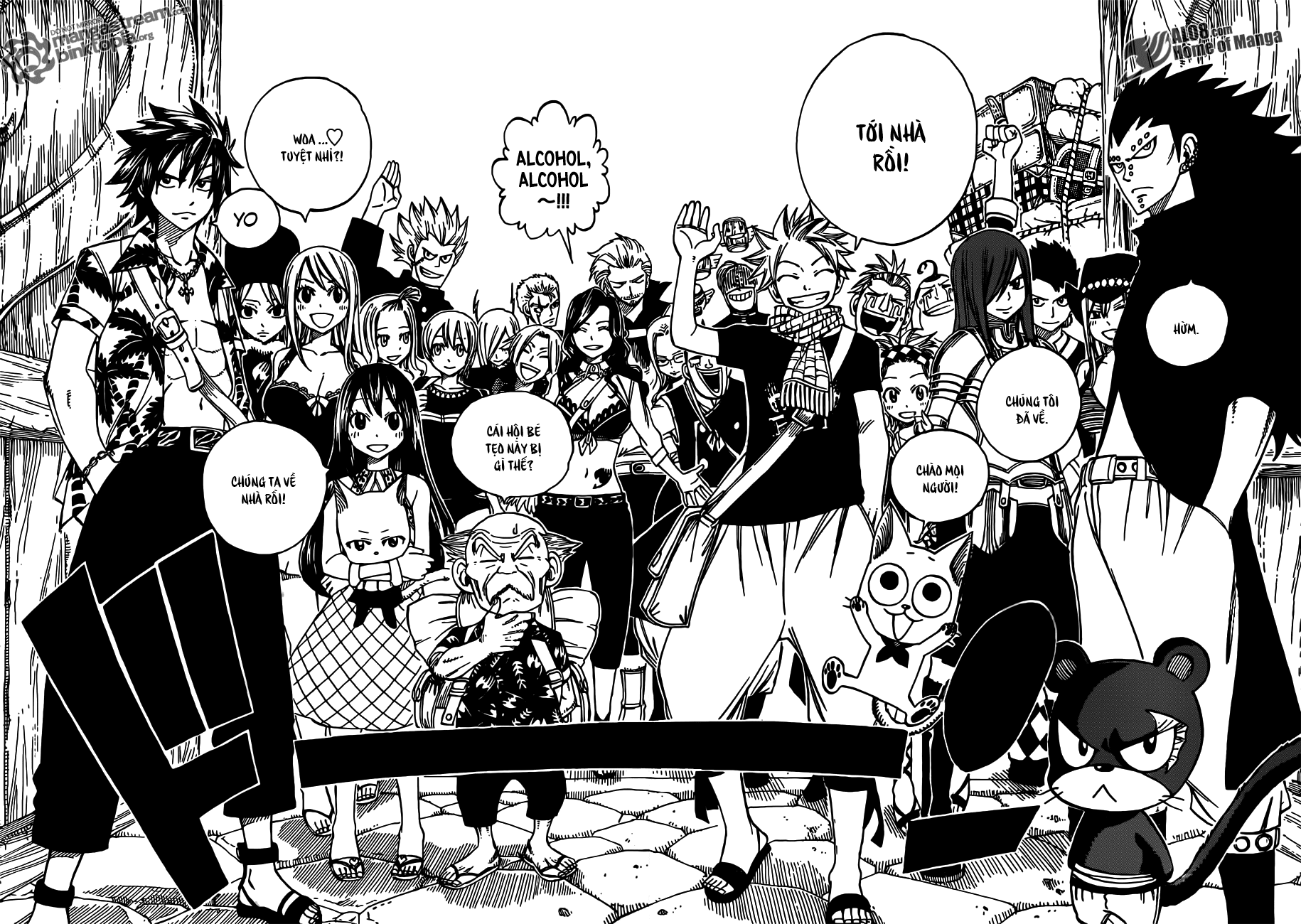 Fairy Tail Chapter 255 - 12