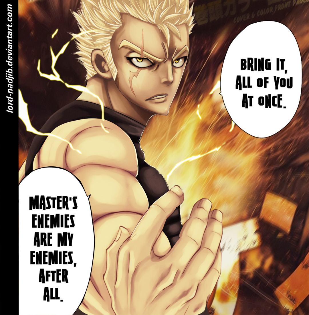 Fairy Tail Chapter 289 - 24