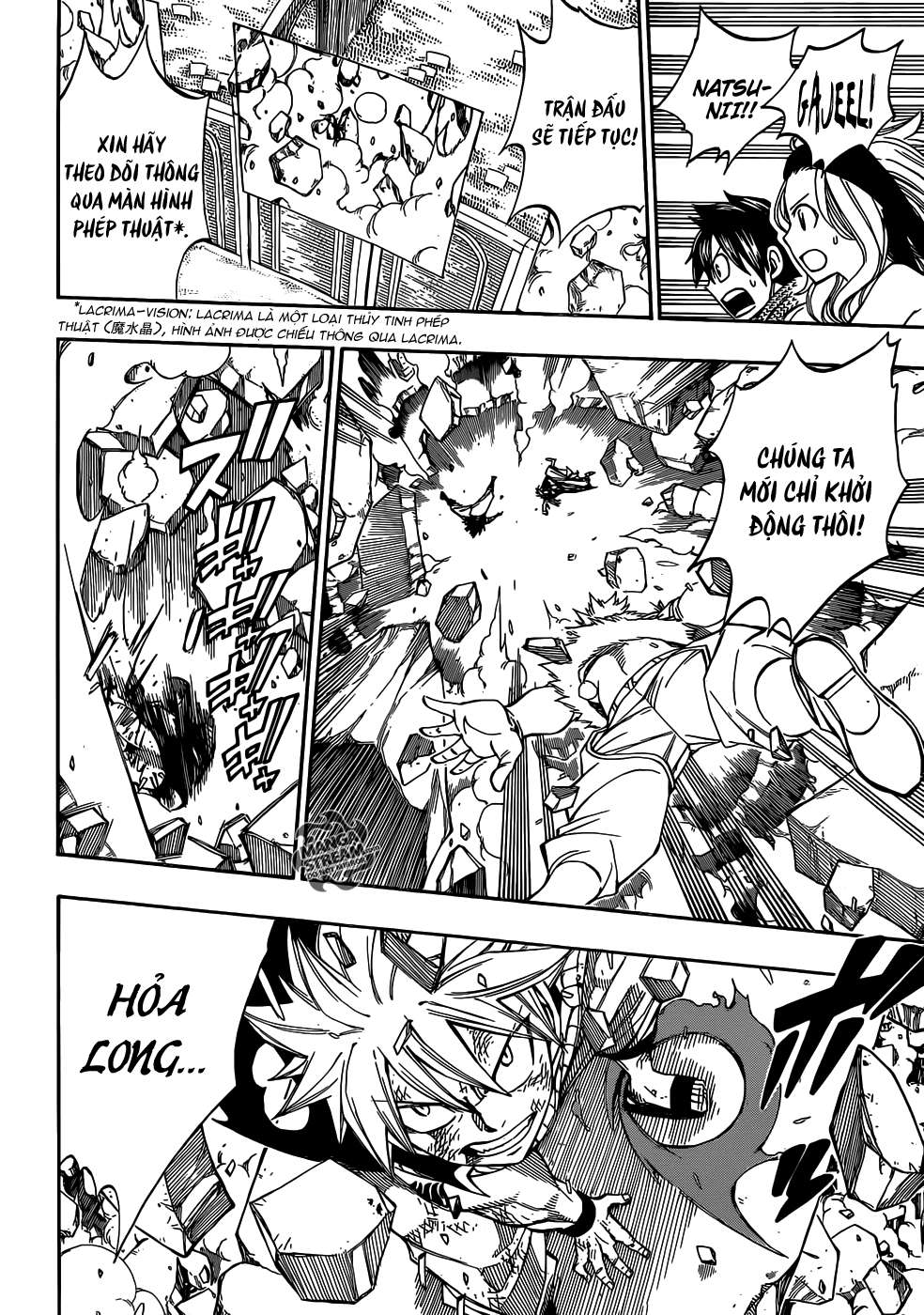 Fairy Tail Chapter 295 - 13