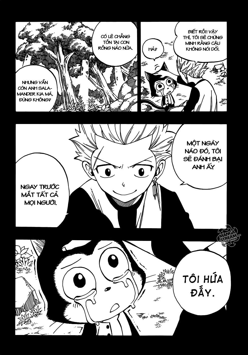 Fairy Tail Chapter 295 - 21