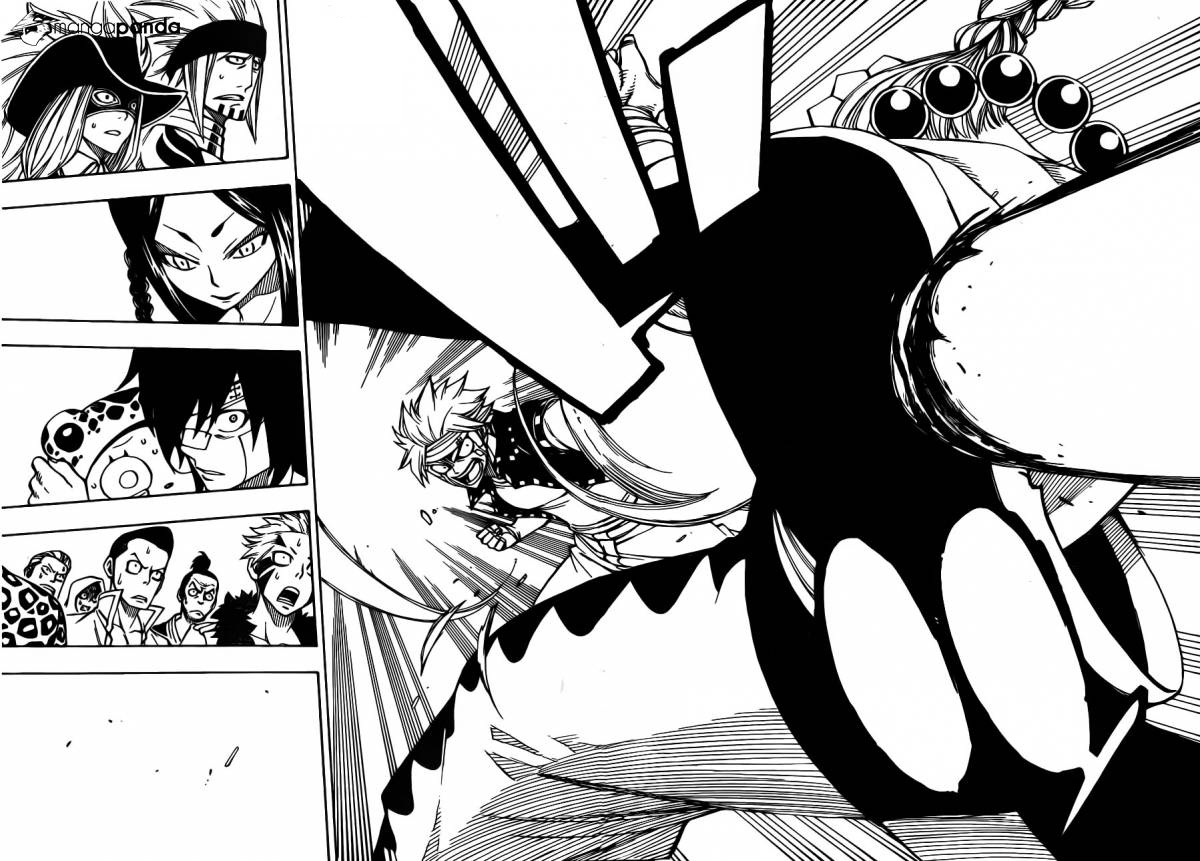 Fairy Tail Chapter 300 - 14