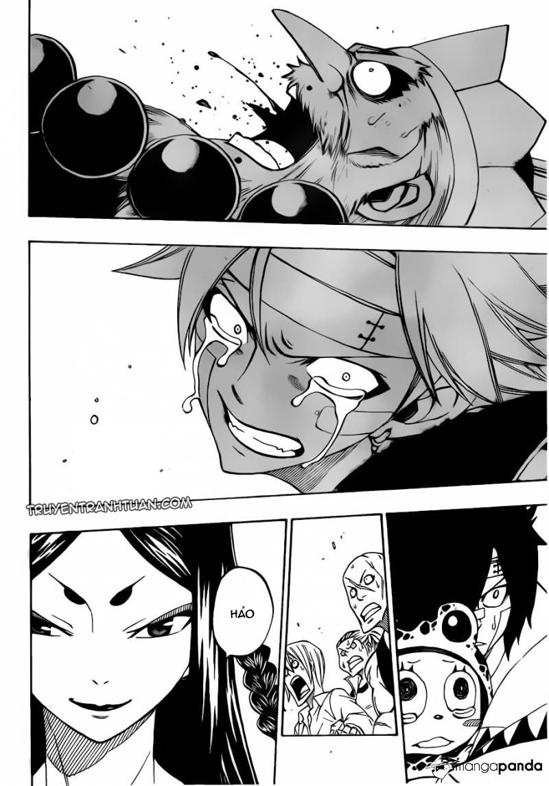 Fairy Tail Chapter 300 - 15