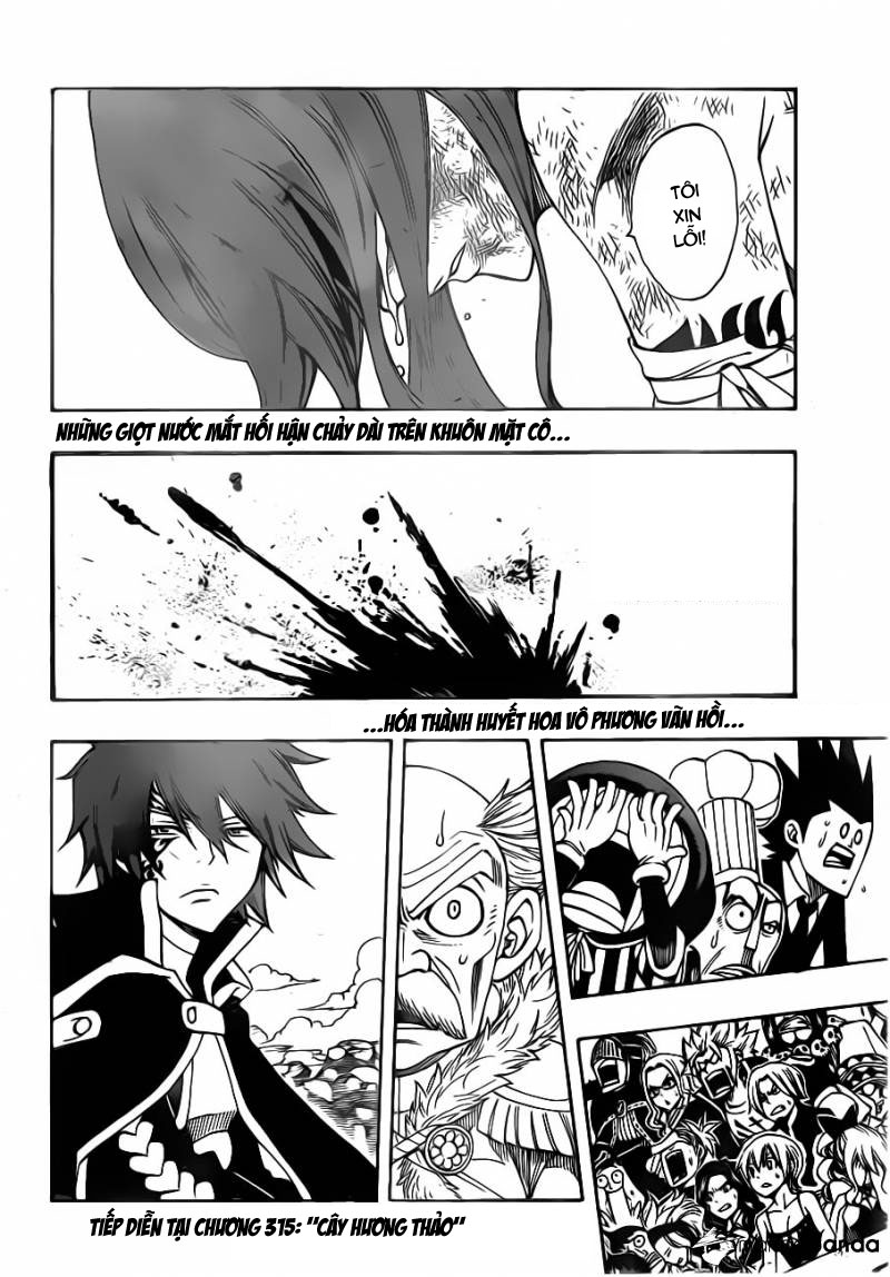 Fairy Tail Chapter 314 - 23