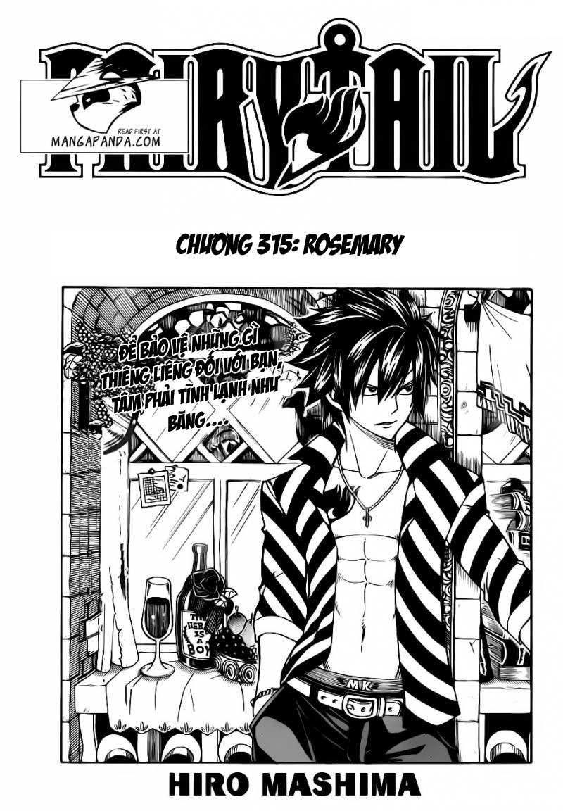 Fairy Tail Chapter 315 - 4