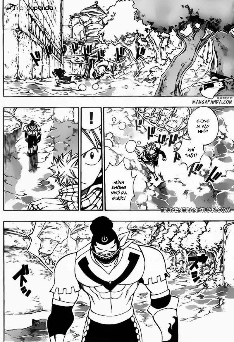 Fairy Tail Chapter 345 - 19