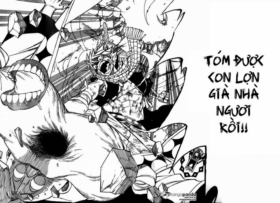 Fairy Tail Chapter 365 - 33