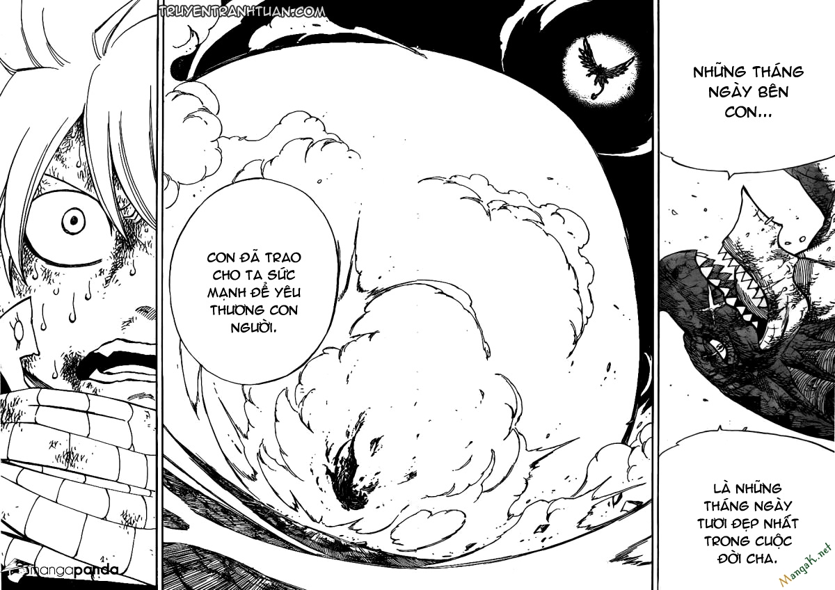 Fairy Tail Chapter 414 - 17