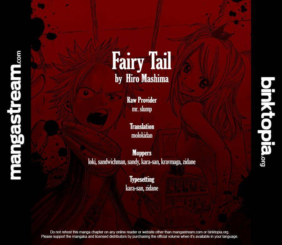 Fairy Tail Chapter 215 - 19