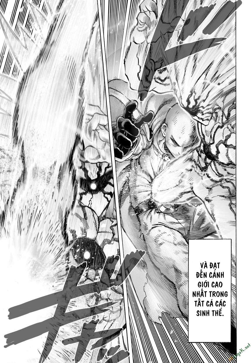 Onepunch Man Chapter 46 - 14