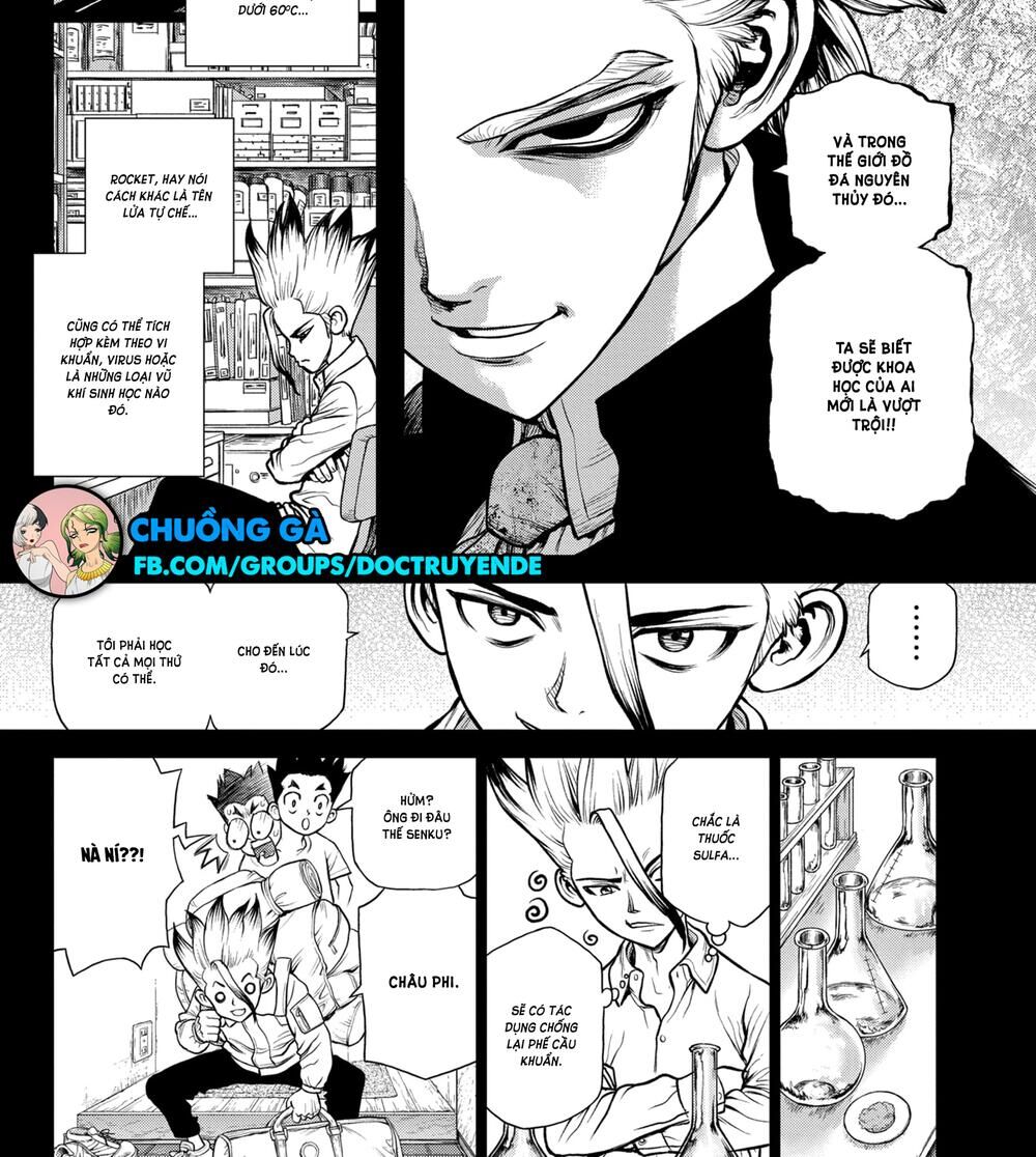 Dr.stone Chapter 156 - 16