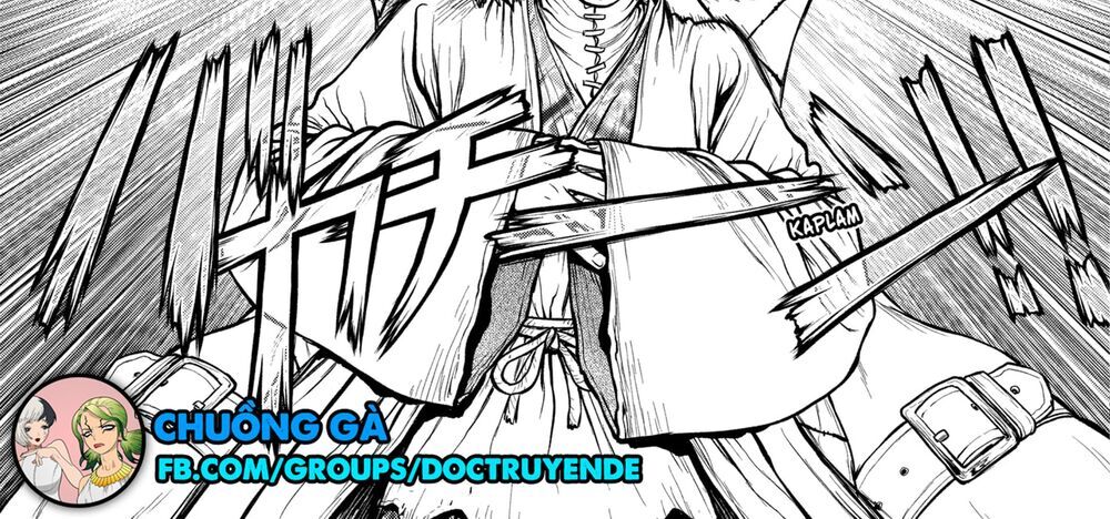 Dr.stone Chapter 161 - 12