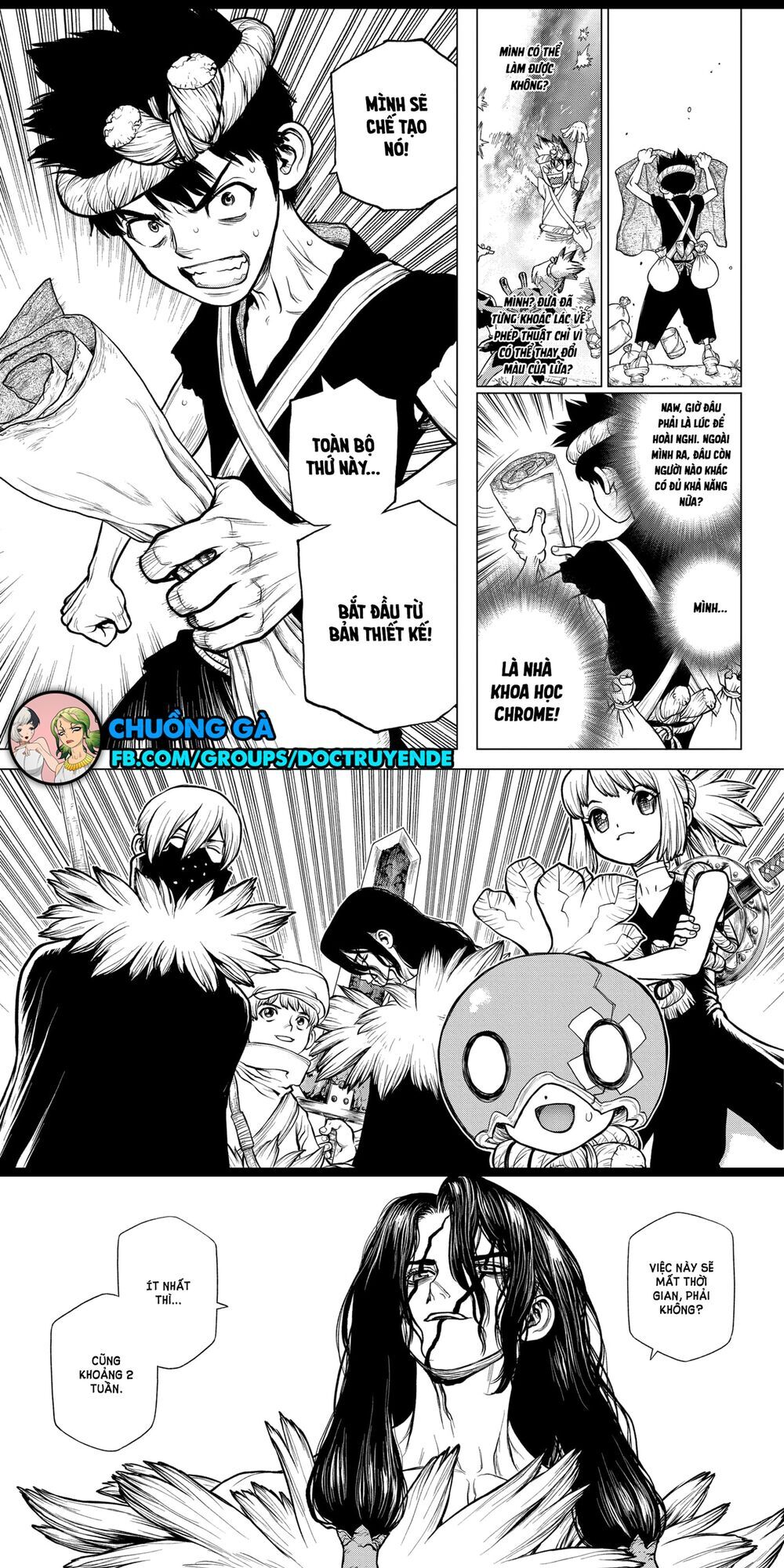 Dr.stone Chapter 161 - 4