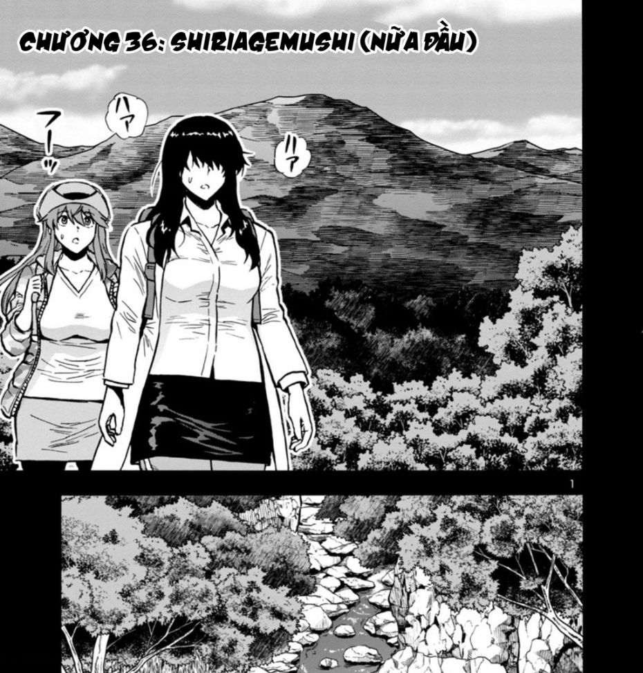 Siêu Đảo Côn Trùng Chapter 36 - Trang 2