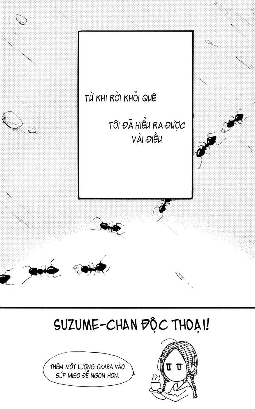 Sao Mai Của Em Chapter 2 - 2