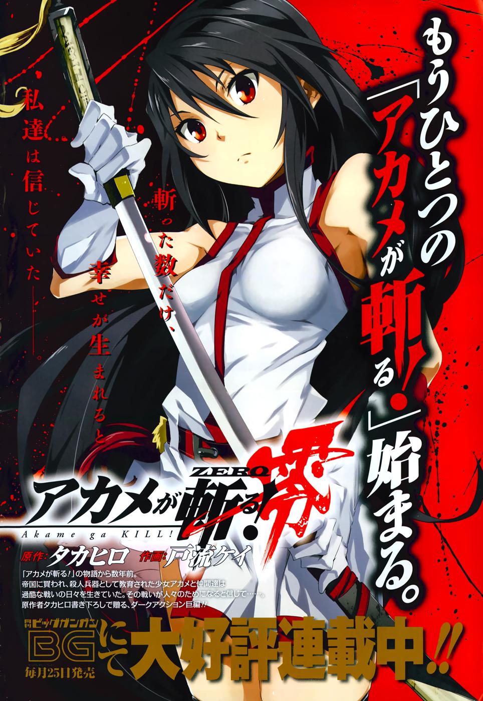 Akame Ga Kiru Chapter 45 - 3