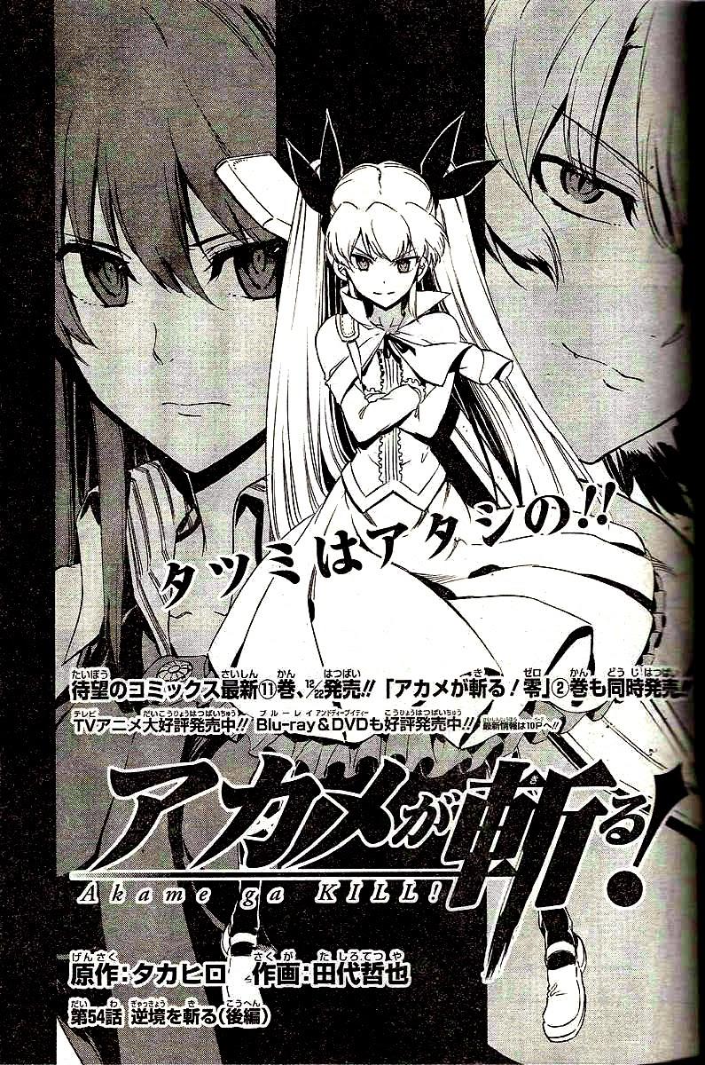 Akame Ga Kiru Chapter 54 - 5