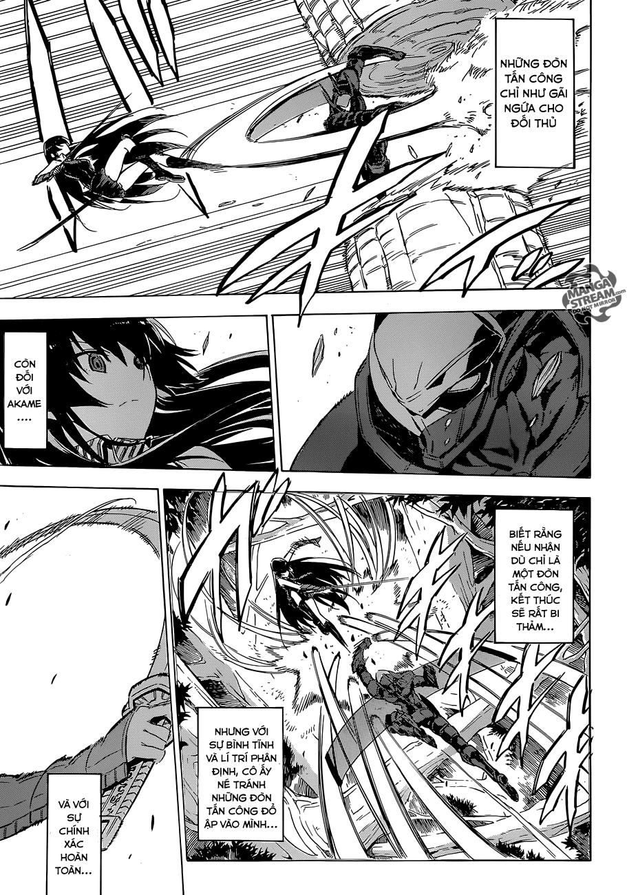 Akame Ga Kiru Chapter 62 - 15