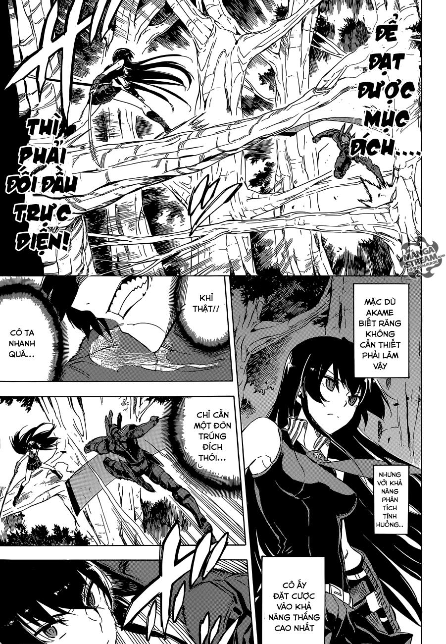 Akame Ga Kiru Chapter 62 - 17