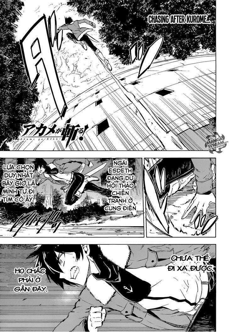 Akame Ga Kiru Chapter 65 - 6