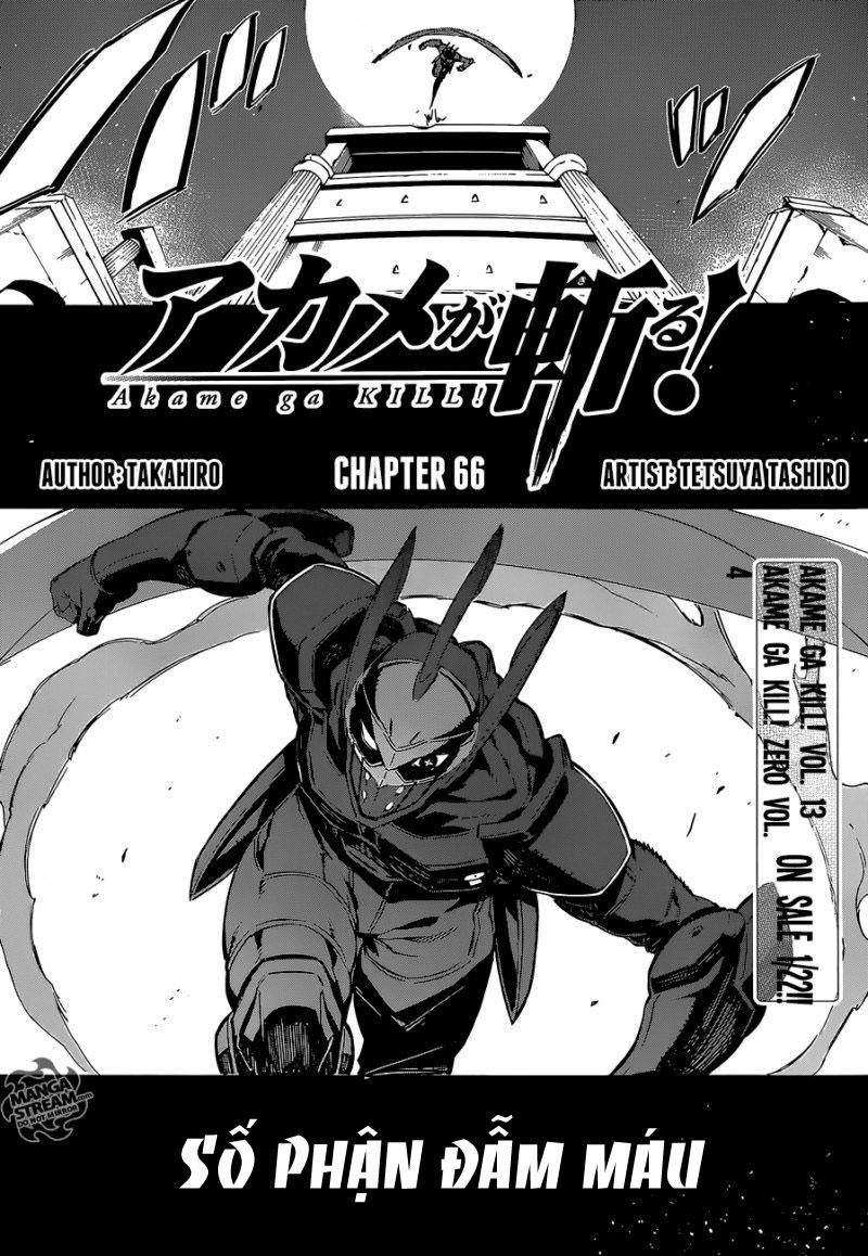 Akame Ga Kiru Chapter 66 - 6