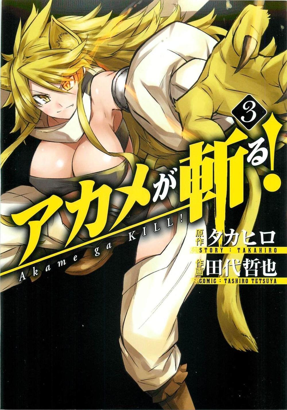 Akame Ga Kiru Chapter 72 - 2