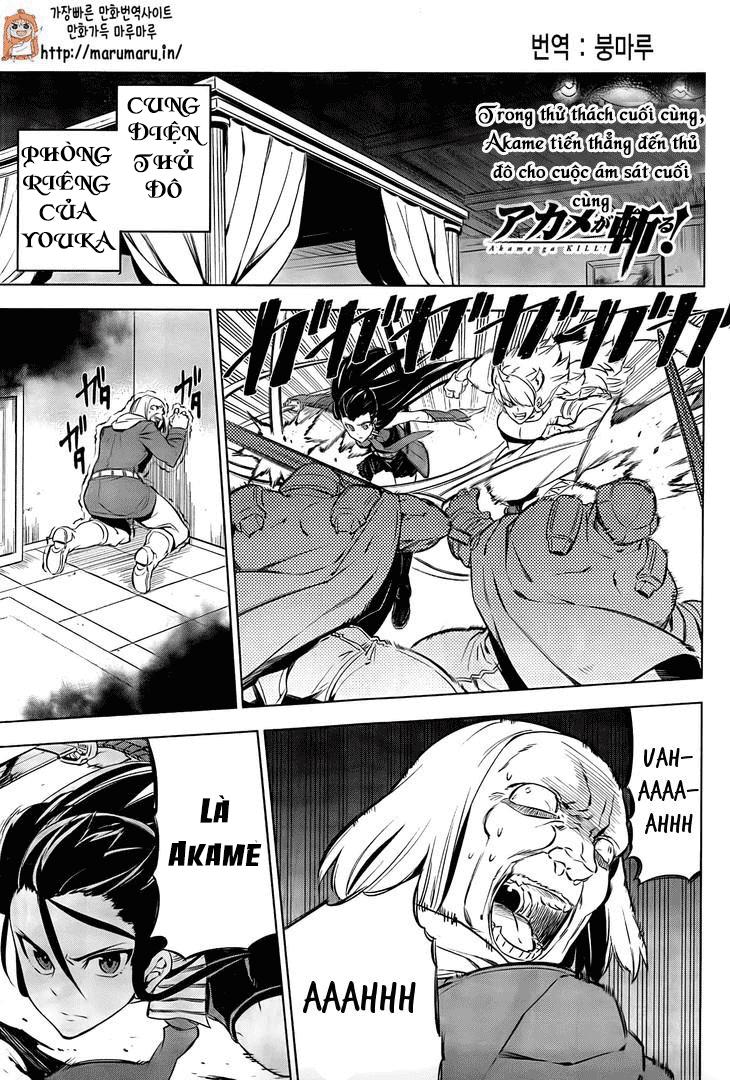 Akame Ga Kiru Chapter 69 - 3