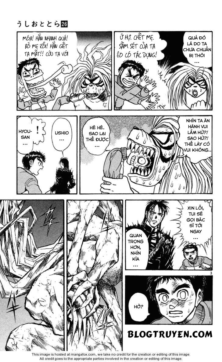 Ushio And Tora Chapter 246 - 5